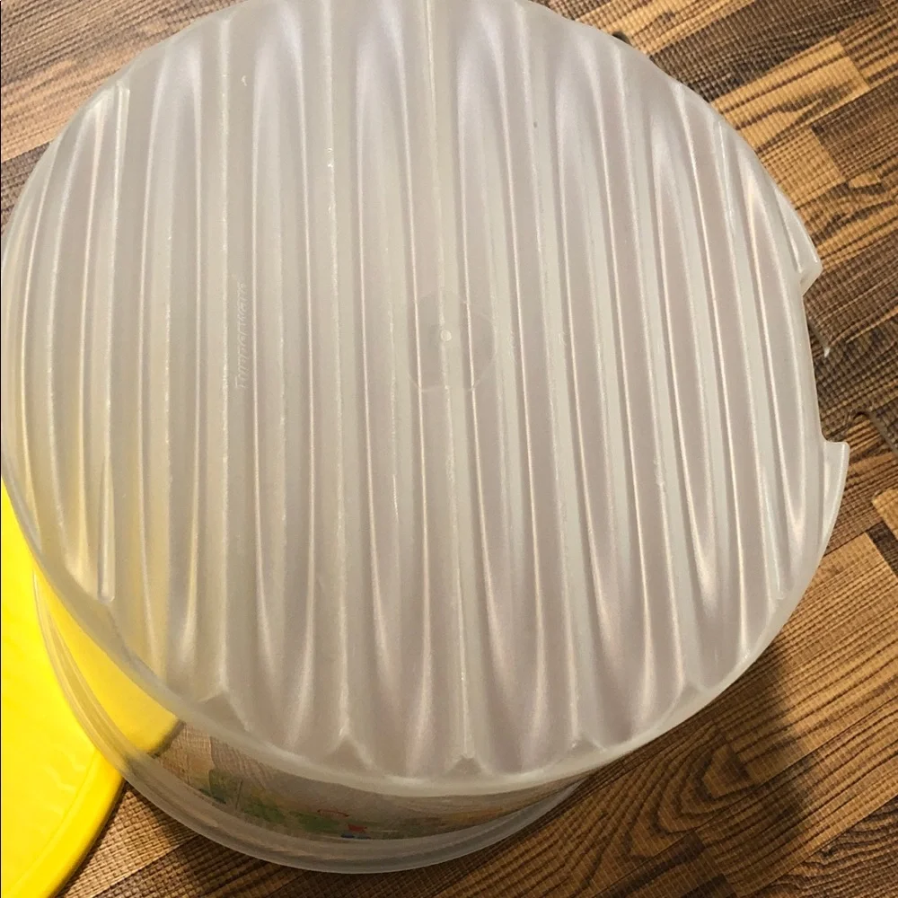 Tupperware fridgesmart 20